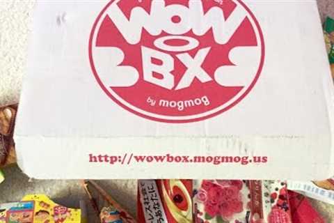 Wow Box Kawaii Snacks Subscription Box 2015