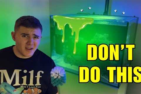 Reefers CANNOT Make This MISTAKE | How to Properly Clean Your Aquarium