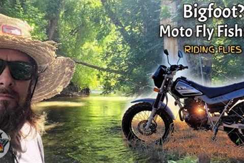 Bigfoot? Moto fly fishing to secret mountain creek (Riding Flies) TW200 adventure exploring nature