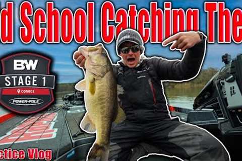 Catching them Old School - MLF Stage 1 Conroe, TX - Practice Vlog