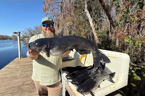 Why We Stayed at This Old Florida Fish Camp | Limb Lines and CATFISH STEW! Catch Clean Cook