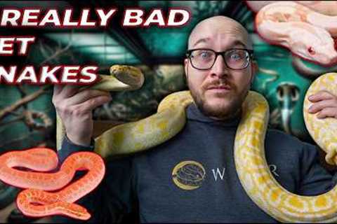 5 Really Bad Pet Snakes | Get These Snakes Instead!