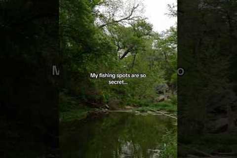My fishing spots are THIS secret!😳 #fishing #shorts