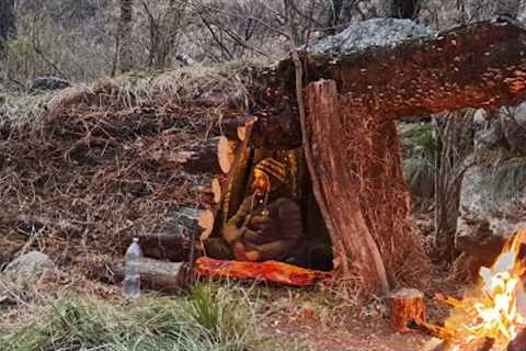 Building a survival shelter under fallen tree, solo bushcraft camp in the wilderness