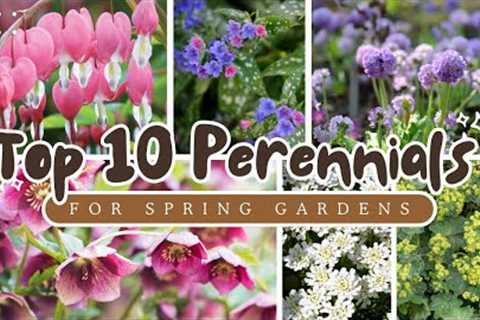 Top 10 Perennials for a Spectacular Spring Garden!!!