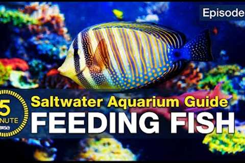 Feed your saltwater fish in a way you can be proud of. Increase health color and longevity
