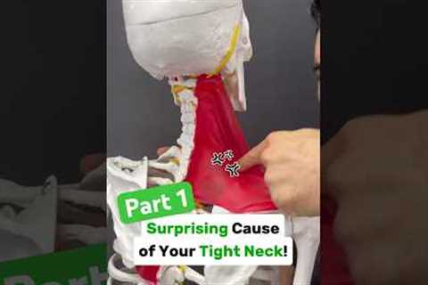 Part 1/2: Is your neck tight with shoulder blade or arm pain? Try this! #neckpain #shoulderpain #tmj