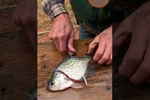 5 Steps to Filleting Crappie | Wild Resources #shorts