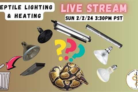Reptile Lighting &amp; Heating: Improving Welfare and Naturalistic Keeping