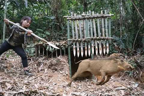 trap making skills, trapping wild boars in the wild, survival alone