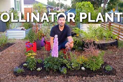 11 MUST Grow Pollinator Garden Plants 🐝