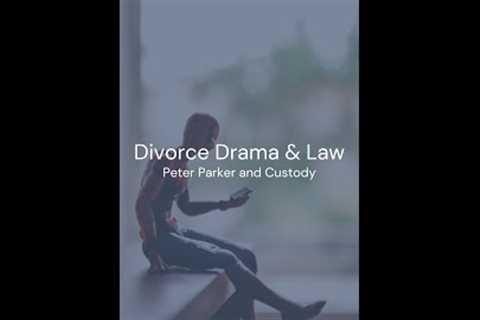 Check out our series, Divorce Drama + Law! This one is in a *web* of legal twists.