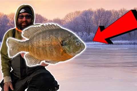 ICE FISHING for 3lb Bluegill!