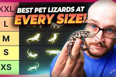 The BEST Pet Lizard At Every Size!