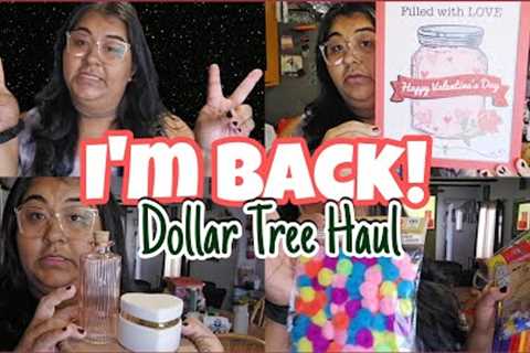 IM BACK!!! | Dollar Tree Haul  | 100 Days of School Project Idea | LifewithBerenice