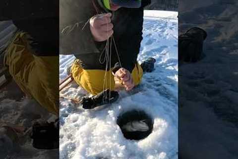 First Fish through the Ice! #shorts