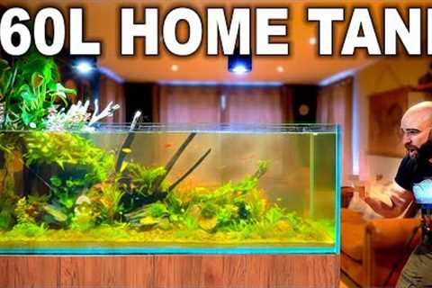 2 Weeks... My Aquarium Is F*@CK*%D!! (How To Fix)