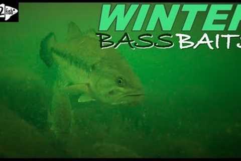 6 Proven Winter Bass Baits for Most Situations