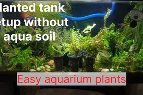 Planted aquarium setup without Aqua soil | planted tank using garden soil | walstad method planted