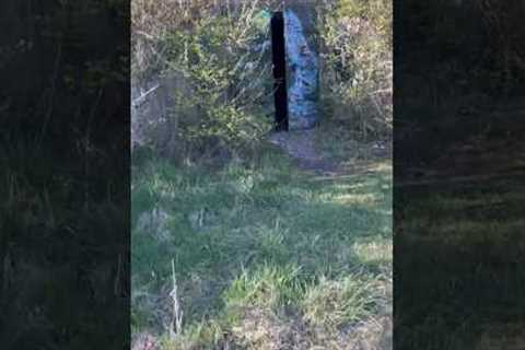 Exploring Abandoned military bunkers #scary #hike #bunker #abandoned