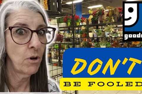 Don't Believe the Bad Information! GOODWILL THRIFT WITH ME
