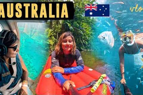 Adventures in AUSTRALIA 🇦🇺 | Scuba Diving in the Great Barrier Reef, Daintree Rainforest &amp;..