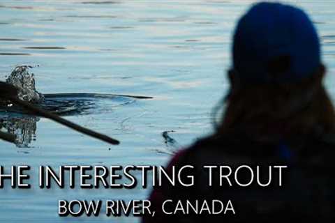 Bow River, Canada - Fly Fishing the Bow River in SEARCH of INTERESTING Trout