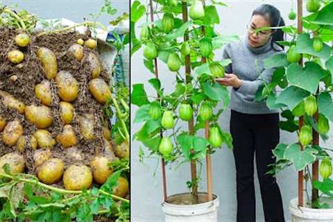 1001 Gardening Tips for Beginners - TN Gardening