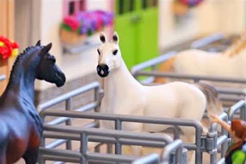 Racing Hearts - Episode 1 - Schleich Horse Series