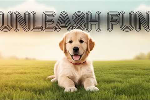 Hilarious Talking Dogs &amp; Puppy Training – Fun &amp; Easy Tips! 🐶😂🎓