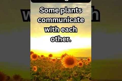 Mind-Blowing Gardening Facts #gardening #farming #plants #flowers #food #trending #viral #subscribe