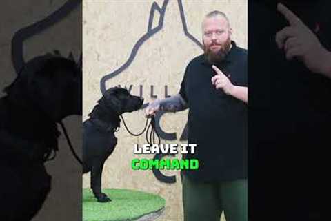 Teach Your Dog To Leave It #dogtraining