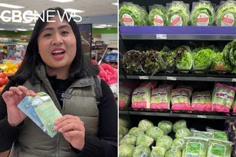 Shopping for a basket full of Canadian-made groceries with only $25