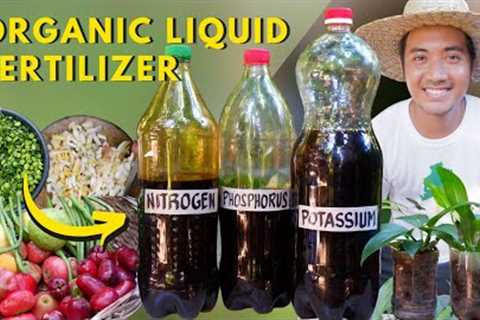 Creating Fermented Complete Organic Fertilizer | Nitrogen-Phosphorus-Potassium | Super Easy!