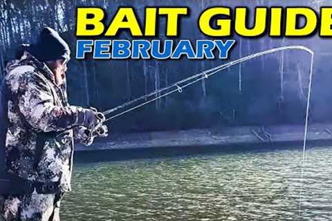 Top Lures You NEED for February Bass Fishing