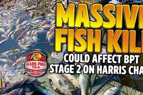 MASSIVE FISH KILL Could Change Bass Pro Tour Stage 2