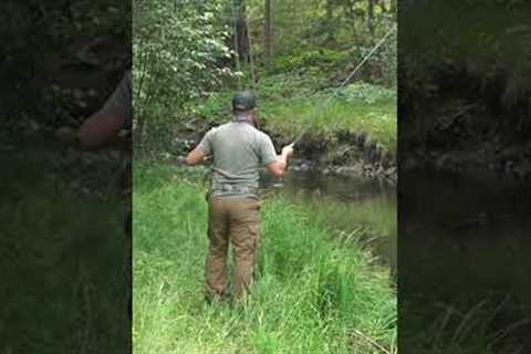 When You Make The Perfect Cast On The First Cast! #flyfishing