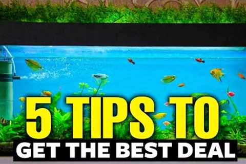How To Get A CHEAP Fish Tank (5 Ways) 💵!