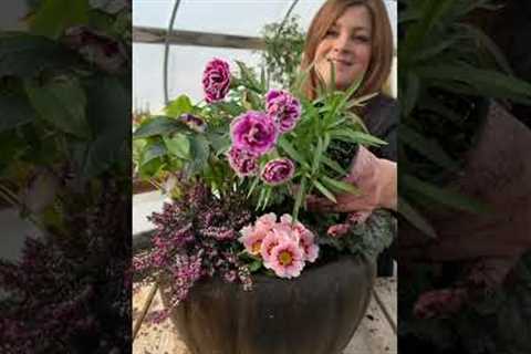 First spring container! Yay! 🌸🥰🌿