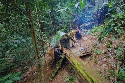 Finished bushcaft house on fallen tree. Survival skills in the tropical forest.