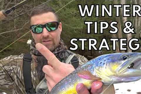 FLY FISHING WINTER STRATEGY &amp; TIPS FOR TROUT