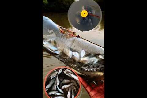 Survival Skills | DIY Tools Fishing With Plastics Bottle #21
