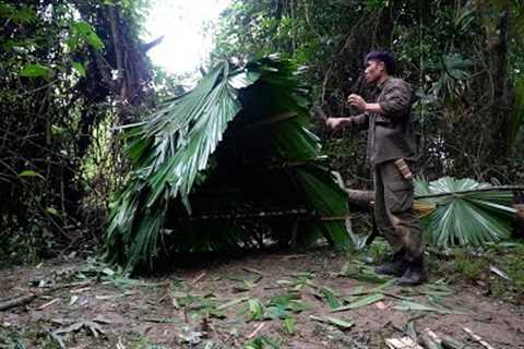 Make a shelter in the deep forest, when it rains heavily, fish, pick bamboo shoots, and cook