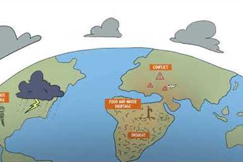 A global hunger crisis: how did we get here?