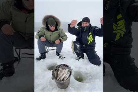 Awesome fishing in the Altai Mountains😍🔥