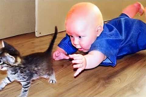 Most Funny Animal and Baby Playing Together - Funny Baby and Pets Video