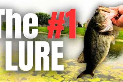 I NEVER Go BANK FISHING Without This LURE