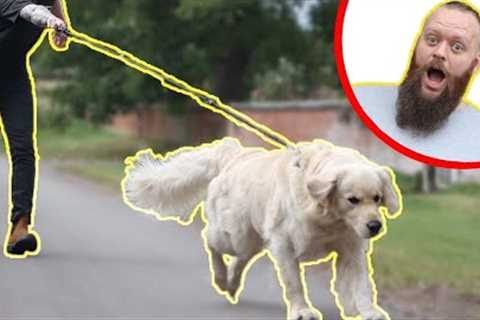 How To STOP Your Dog Pulling On The Leash - EXTREME TRANSFORMATION