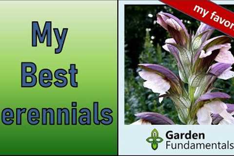 Best 45 Perennials in My Garden 🌹🌻🌺 Every Gardener Should Grow These