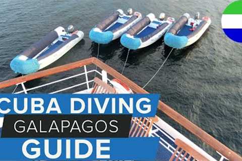 Galapagos Diving Tips - How To Make The Most Of Your Trip!